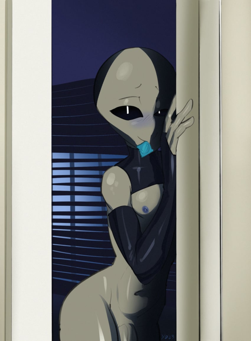 Roswell Grey Rule 34 Image