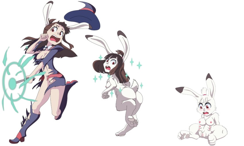 2018 6_breasts akko_kagari alpha_channel annoyed anthro ass atsuko_kagari breasts brown_hair clothing female fur hair hat human kagari_atsuko lagomorph little_witch_academia long_hair magic magic_user mammal mankor multi_breast nipples open_mouth pussy rabbit red_eyes semi-anthro sequence shrinking simple_background sitting solo spread_legs spreading standing surprise tail torn_clothing transformation transparent_background white_fur white_hair witch witch_hat