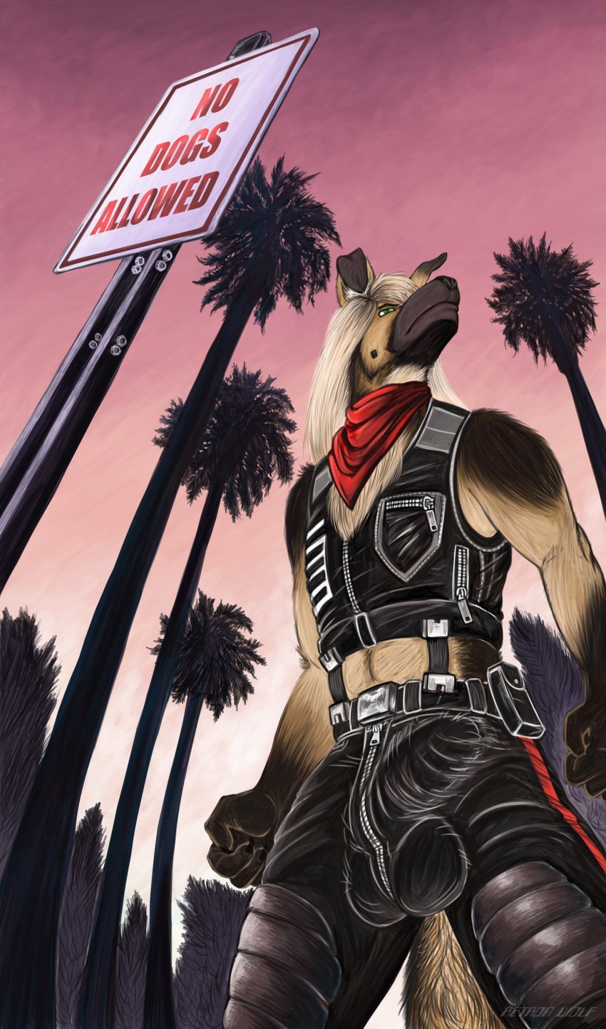 belt big_bulge brown_fur bulge canine fur green_eyes hair leather long_hair male mammal pockets retro retron_wolf sign smaller_version_at_source tree utility_belt