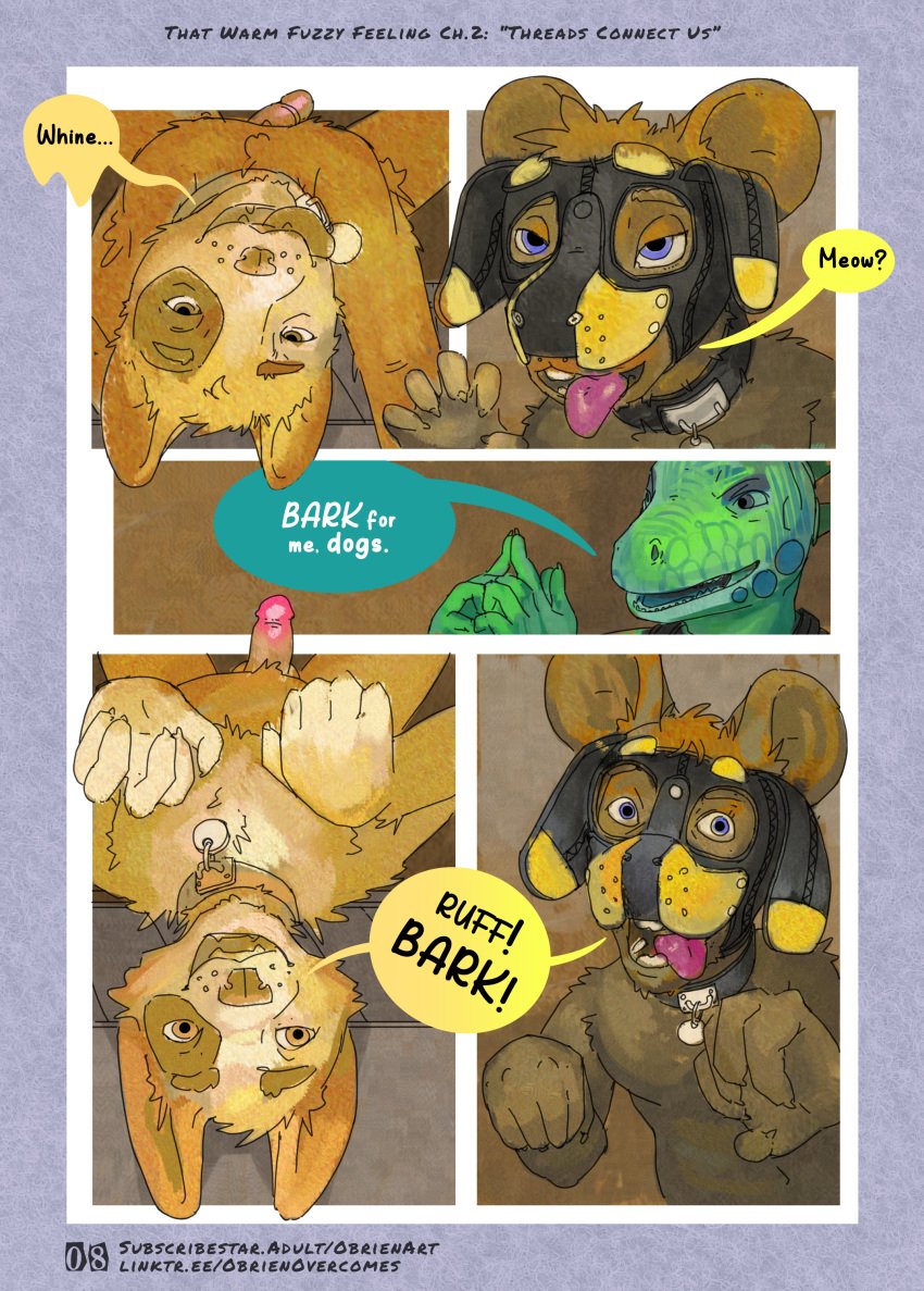 absurd_res animal_mask anthro bondage canid canine canis chihuahua collar comic domestic_dog dominant dominant_anthro dominant_male eye_patch_(marking) facial_markings genitals hair head_markings hi_res iguana iguanid lizard male mammal markings mask mouse murid murine obrien_(artist) patch_(marking) penis petplay pup_mask puppyplay reptile rodent roleplay scalie scrap_(obrien) submissive submissive_anthro submissive_male text tobias_(obrien) toy_dog zach_(obrien)
