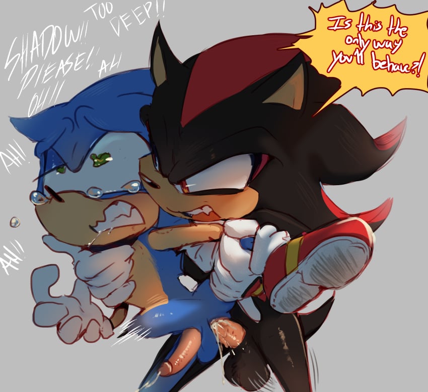 2d anal_sex belly_bulge furry gay gay_anal gay_sex hand_on_neck heart-shaped_pupils hedgehog leg_up rough_sex sega shadow_the_hedgehog sonadow sonic_(series) sonic_the_hedgehog sonic_the_hedgehog_(series) tottalyaw31rd0