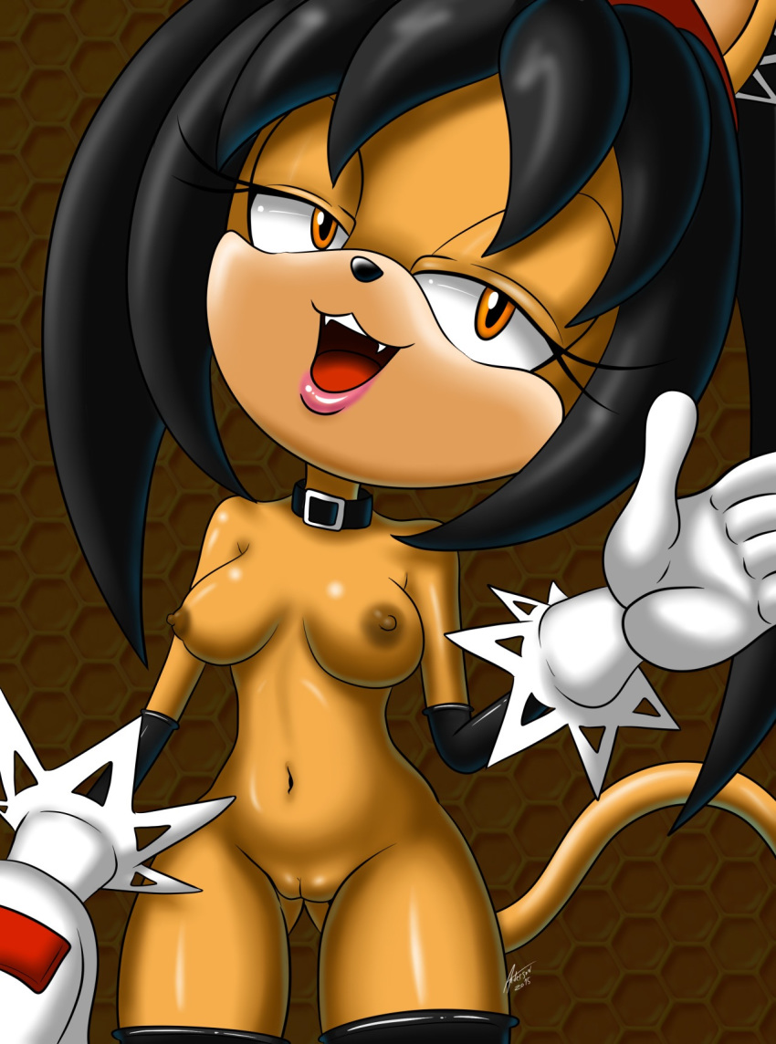 amber_eyes andersonicth anthro black_hair breasts collar fangs feline furry gloves honey_the_cat honeycombs pussy smile sonic_(series)