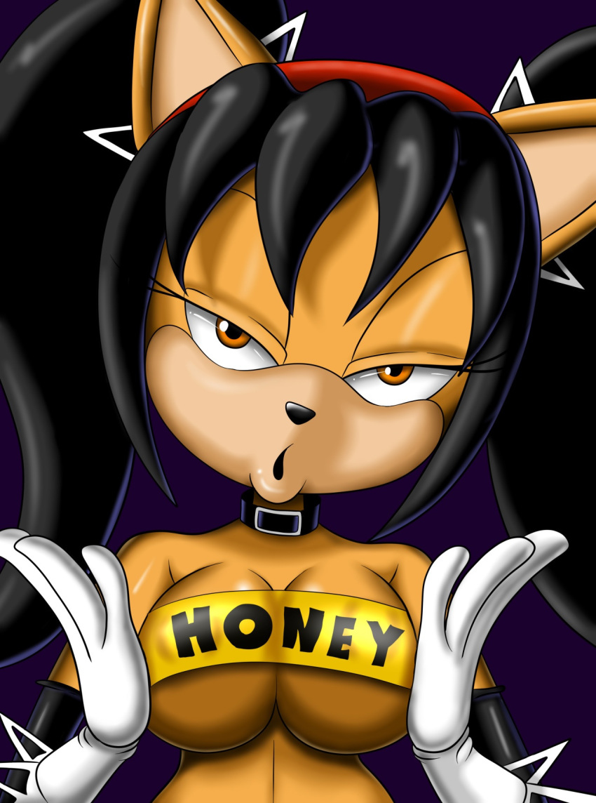 amber_eyes andersonicth anthro black_hair breasts cleavage collar feline female furry gloves hairband honey_the_cat looking_at_viewer solo sonic_(series) tied_hair twintails