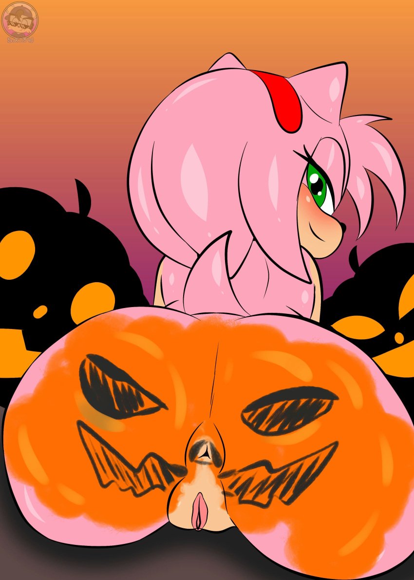 2024 absurd_res accessory amy_rose anthro anus ass blush breasts butt_focus digital_media_(artwork) digital_painting_(artwork) eulipotyphlan female food fruit fur genitals gradient_background green_eyes hair hair_accessory halloween hedgehog hi_res holidays jack-o&#039;-lantern looking_at_viewer looking_back looking_back_at_viewer mammal nude paint pink_body pink_fur pink_hair plant pumpkin pumpkin_butt pussy sega simple_background sirjzau solo sonic_the_hedgehog_(series)