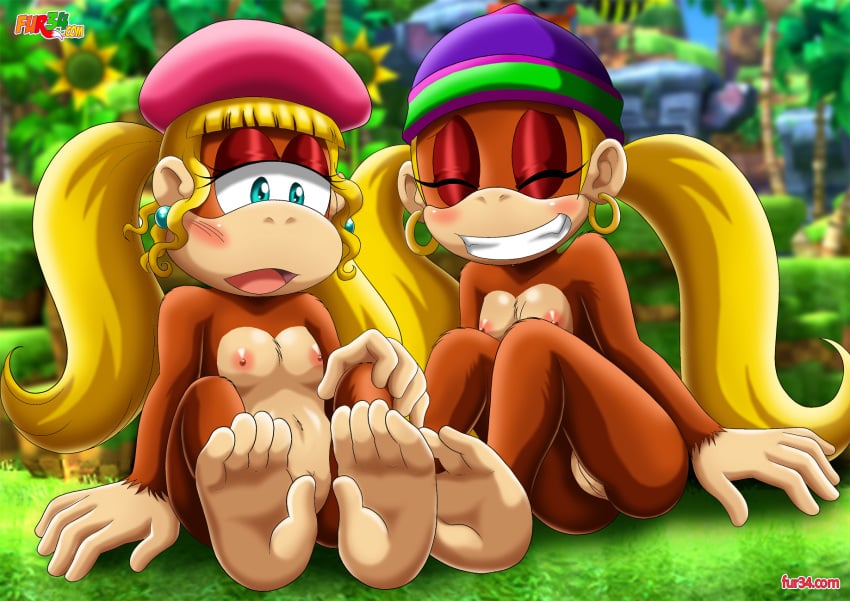 2girls anthro ape bbmbbf blonde_hair dixie_kong donkey_kong_(series) eyeshadow female female_only foot_focus fur34 furry furry_only green_hill_zone lipstick mammal multiple_girls nintendo palcomix sega siblings sisters tagme tiny_kong twintails video_games