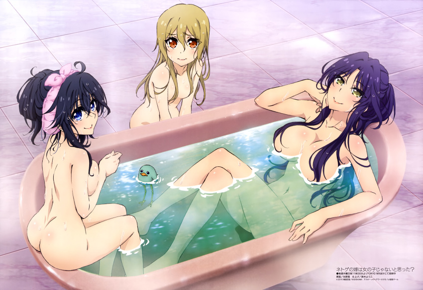 3girls ass bath big_breasts black_hair blonde breasts goshouin_kyou netoge_no_yome_wa_onna_no_ko_janai_to_omotta? purple_hair segawa_akane small_breasts tamaki_ako