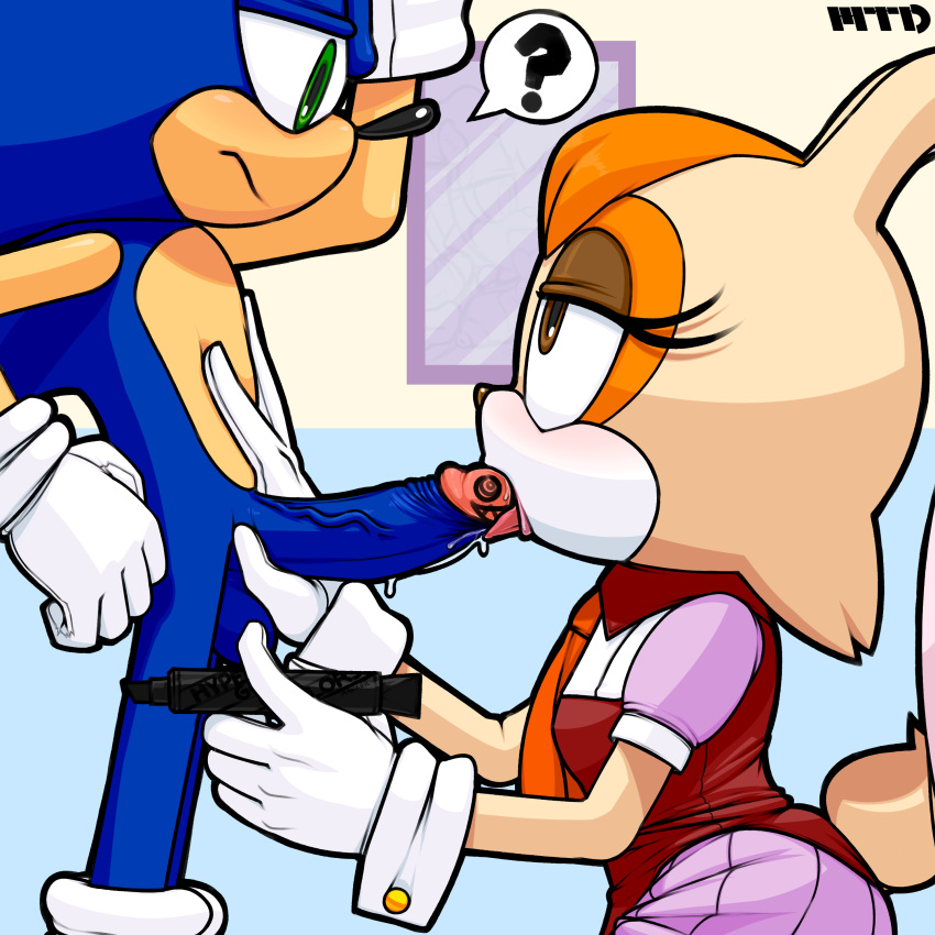 balls blue_fur female furry hedgehog male mammal marker marthedog oral penis rabbit sega sonic_(series) sonic_advance sonic_the_hedgehog sonic_the_hedgehog_(series) vanilla_the_rabbit