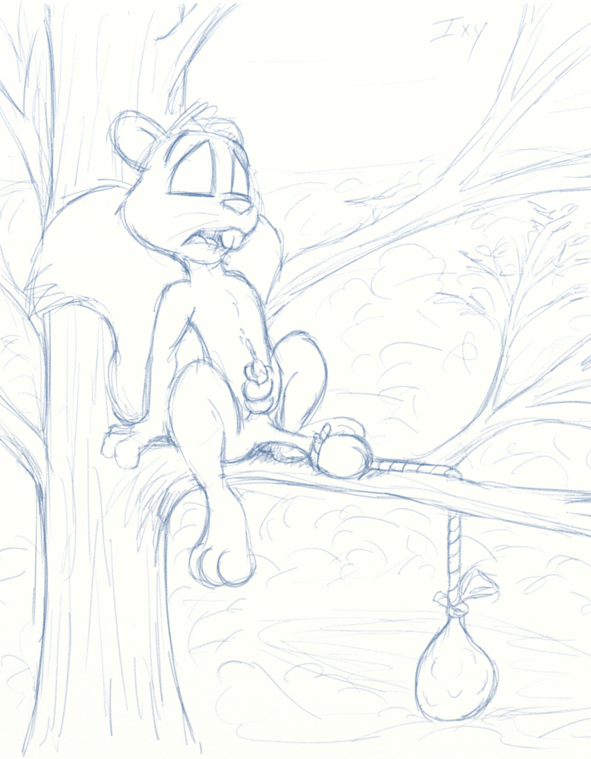 1boy anthro bahlam_(artist) ball_stretcher ball_stretching balls cum hi_res male male_only mammal masturbation monochrome penile_masturbation penis rodent rope sketch solo squirrel stretching tagme tree