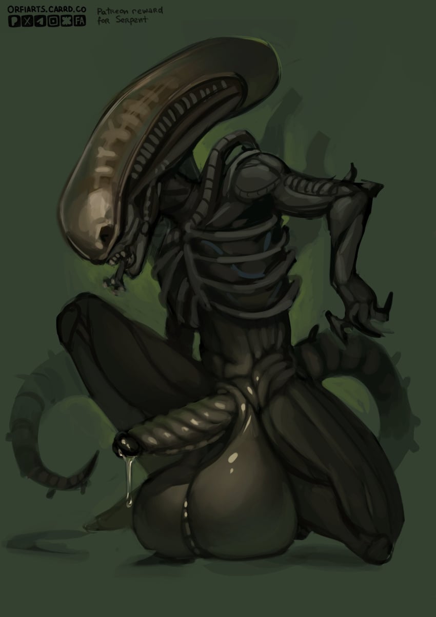Male Xenomorph (Alien (Franchise)) Rule 34 Image