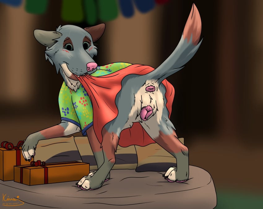 anatomically_correct anatomically_correct_genitalia anatomically_correct_pussy anatomically_correct_vulva animal_genitalia animal_pussy animal_vulva anus ass birthday blush blush_lines canid canine canine_genitalia canine_pussy canine_vulva canis clothed clothing clothing_lift dress dress_lift female feral fur genitals hi_res kaerf_(kaerfflow) kinaj looking_at_viewer mammal nude pawpads presenting pussy raised_tail smile solo tail vulva wolf