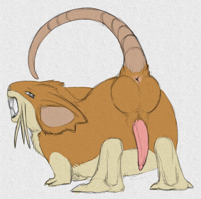 1boy all_fours anus ass backsack balls big_balls erection feral fur hi_res looking_back male male_only mammal nintendo open_mouth pencil_(artwork) penis pokémon_(species) pokemon presenting python13rp raised_tail rat raticate rear_view rodent simple_background sketch solo teeth traditional_media_(artwork) video_games white_background yaroul