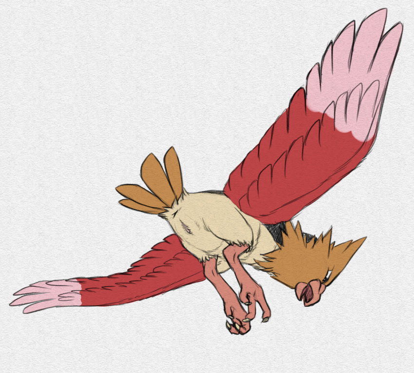 anus avian beak bird bird_feet feathered_wings feathers feet female feral flying looking_down nintendo onisuzume open_mouth pencil_(artwork) pokemon pussy python13rp rear_view simple_background sketch solo spearow spread_wings talons traditional_media_(artwork) video_games white_background wings yaroul