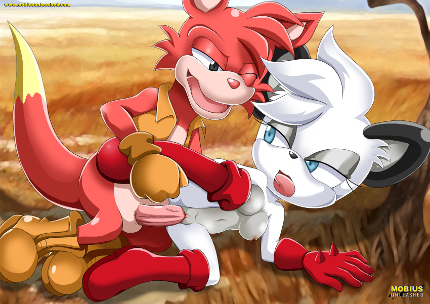 barby_koala female furry furry_only male mobius_unleashed sega sex sonic_(series) straight tagme walt_wallaby