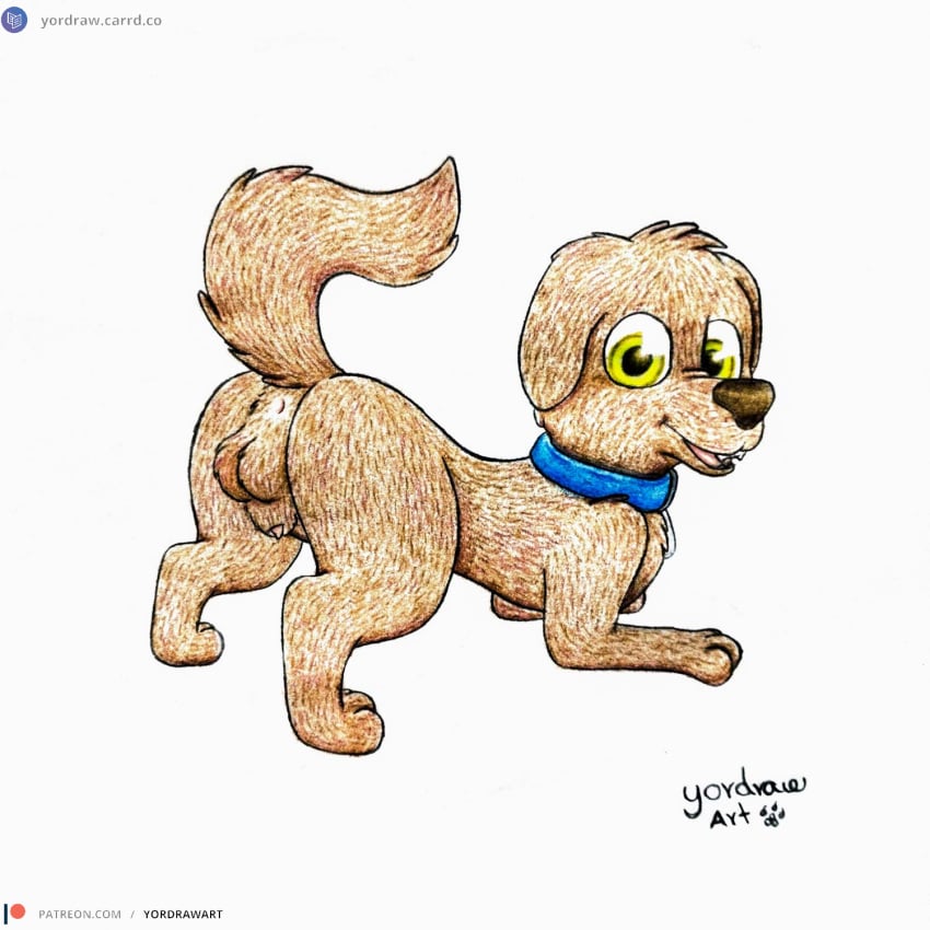 1:1 3_toes animal_genitalia anus ass ass_up balls brown_body brown_fur canid canine canine_genitalia canis collar domestic_dog feet feral fur genitals hi_res male mammal open_mouth open_smile patreon patreon_logo patreon_username paw_patrol paws penis presenting presenting_anus presenting_balls presenting_genitalia presenting_hindquarters presenting_penis raised_tail smile smiling_at_viewer solo spread_legs spreading tail text toes traditional_media_(artwork) url yordraw zuma_(paw_patrol)