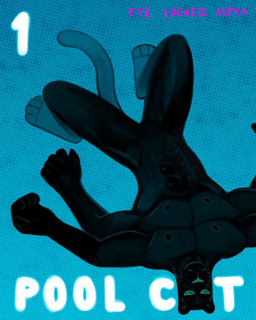 10_nipples 2024 4:5 4_arms 4_toes absurd_res blue_background comic cover cover_art cover_page feet felid floating hi_res looking_at_viewer mammal melanistic multi_arm multi_limb multi_nipple nipples pantherine pool sharkinthepark simple_background solo tail teal_eyes toes