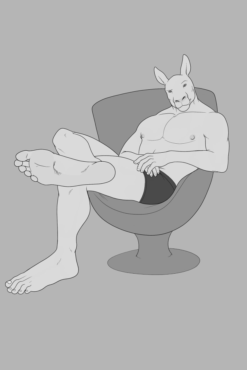 anthro big_feet black_and_white chair humanoid humanoid_feet kangaroo long_feet long_soles male male_only monochrome morguntheorc no_background sitting solo solo_male underwear underwear_only