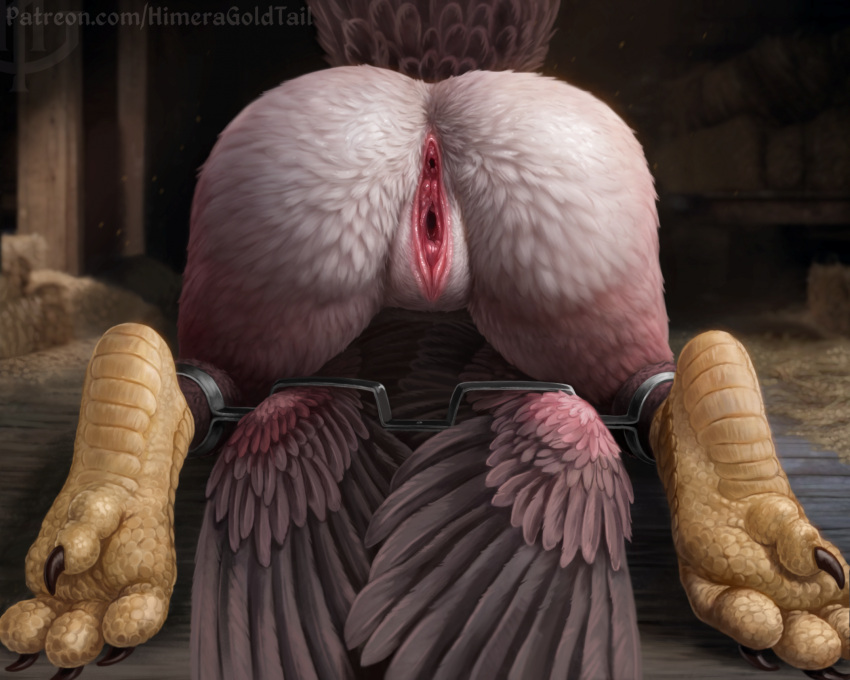 Animal Genitalia Rule 34 Image
