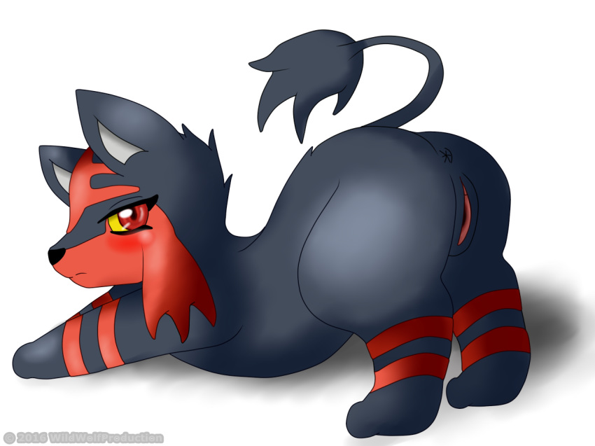 1girls ass feline female furry litten looking_at_viewer nintendo paws pokemon pokemon_sm pussy red_eyes stretching tail text video_games wildwolfproduction yellow_sclera