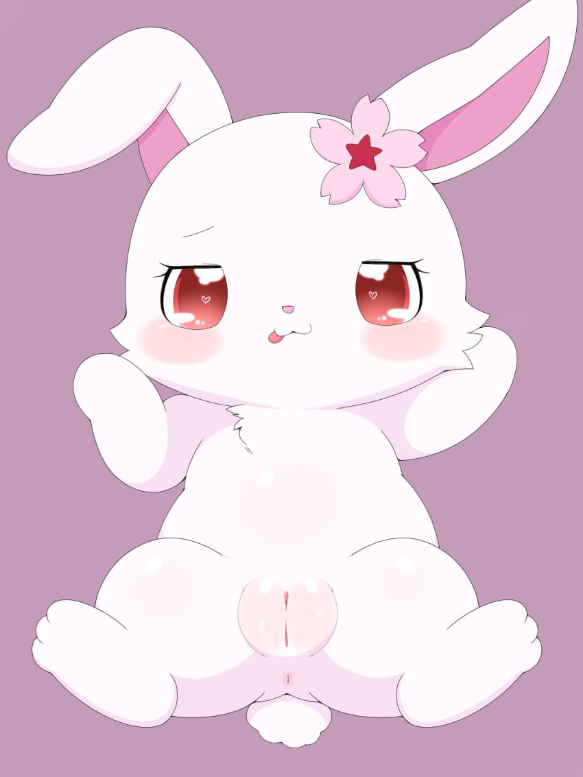 3:4 accessory anthro anus azuo blush female female_anthro flower flower_in_hair fur genitals hair hair_accessory half-closed_eyes heart_eyes heart_symbol hi_res jewelpet lagomorph leporid lying mammal narrowed_eyes on_back pink_background plant plump_labia pussy rabbit red_eyes ruby_(jewelpet) sanrio sega sega_fave simple_background solo spread_legs spreading tongue tongue_out white_body white_fur