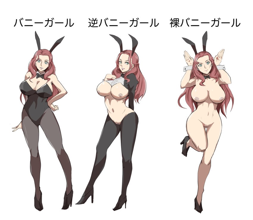 1girls alternate_costume alternate_hairstyle arm_behind_back bare_arms bare_shoulders braid breasts breasts_out brown_hair bunny_ears bunny_girl bunnysuit censored cleavage collarbone completely_nude confident crown_braid dorothea_arnault female female_only fire_emblem fire_emblem:_three_houses fire_emblem_warriors:_three_hopes full_body gesture green_eyes grin hand_on_own_chest hand_on_own_hip holy_rampart japanese_text large_breasts leg_up leotard long_hair long_sleeves multiple_views naked_footwear naked_heels nintendo nipples nude nude_female official_alternate_hairstyle pantyhose pose pussy reverse_bunnysuit reverse_outfit shoulders smile take_your_pick text translation_request white_background wrist_cuffs