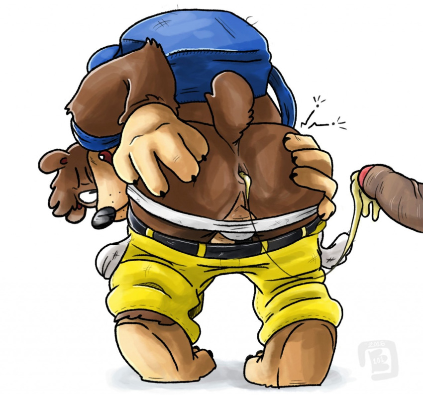 Banjo (Banjo-Kazooie) Rule 34 Image