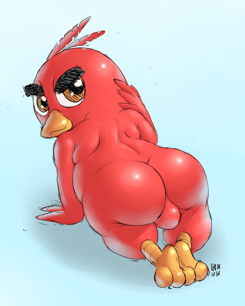 angry_birds ass avian balls big_butt brown_eyes columbia_pictures feathers ikiki looking_at_viewer male male_only pose red_(angry_birds) rovio rovio_entertainment sega simple_background solo sony the_angry_birds_movie video_games