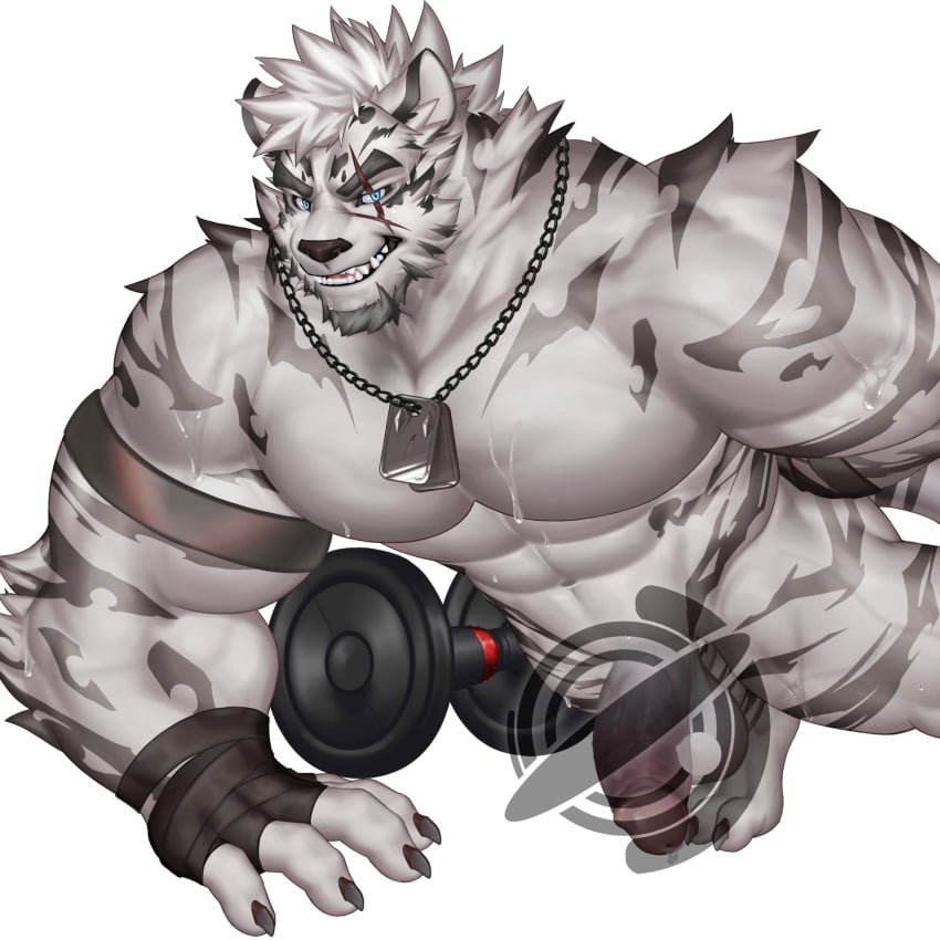 1boy abs animal_ears arknights arm_behind_back bara barefoot bicep_strap chain chain_necklace claws commentary cross_scar dog_tags english_commentary exercising fangs flaccid furry furry_male highres jewelry looking_at_viewer male_focus mountain_(arknights) muscular muscular_male necklace nude one_arm_push-ups pectorals penis push-ups scar scar_across_eye scar_on_cheek scar_on_face shiling_(shiling_100) tail testicles tiger_boy tiger_ears tiger_stripes tiger_tail white_background