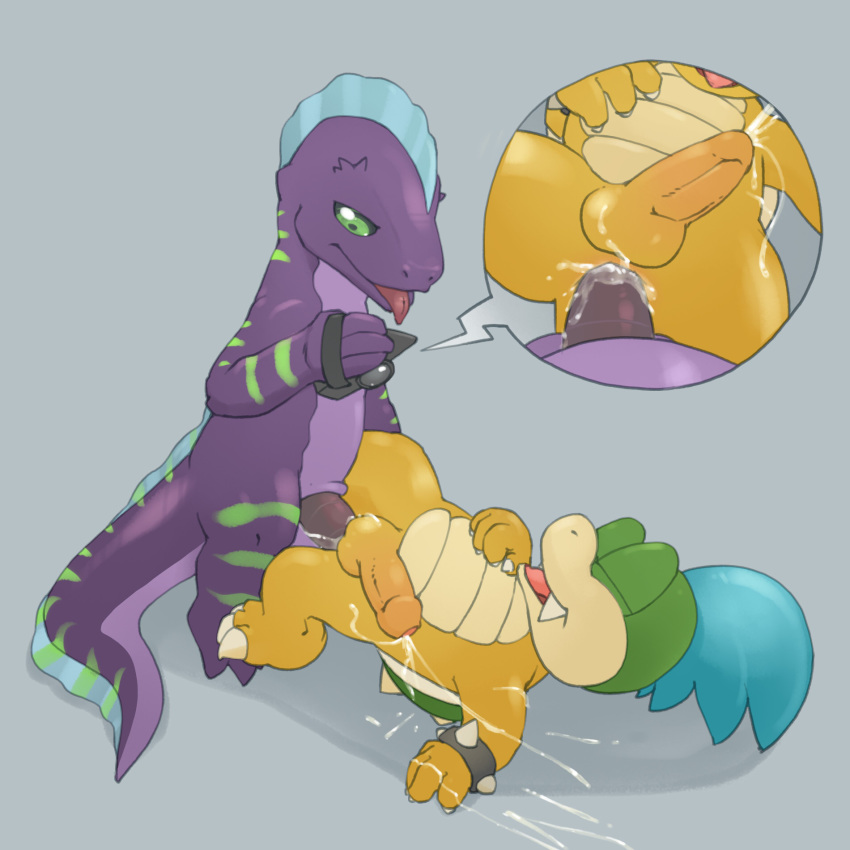 Koopaling (Mario (Series)) Rule 34 Image