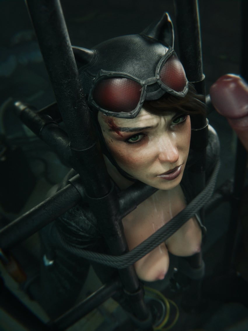 Catwoman (Batman: Arkham Knight) Rule 34 Image