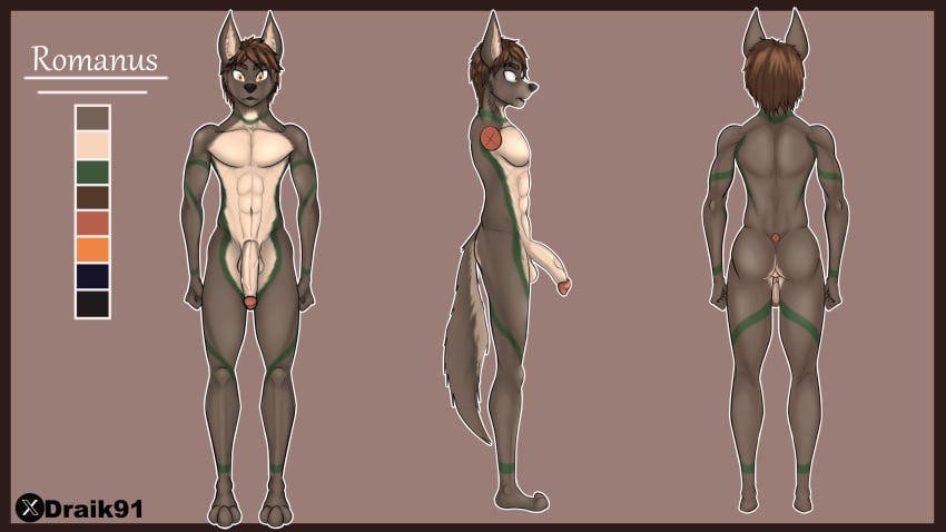 absurd_res anthro ass balls canid canine canis digital_media_(artwork) draik erection fur genitals hair hi_res jackal male mammal model_sheet muscular muscular_anthro nude penis shaded simple_background solo standing tail text