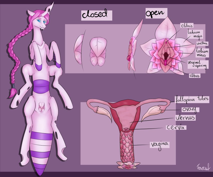 1girls 2017 6_legs anthro anus blue_eyes braided_ponytail changeling clitoris digital_media_(artwork) english_text fan_character fangs farcuf female female_only hair horn long_hair looking_at_viewer mammal model_sheet multi_clitoris multi_genitalia multi_leg multi_limb my_little_pony nude pussy smile solo text unusual_pussy urethra uterus