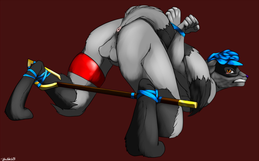 1boy anthro arms_tied ass_up backlash91 backsack balls blush bound clenched_teeth digitigrade hands_behind_back improvised_bondage lying male male_only mammal on_front perineum raccoon raised_tail rear_view signature sly_cooper sly_cooper_(series) smooth_fur solo spreader_bar teeth video_games