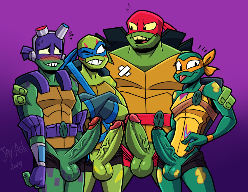 Donatello (Rise Of The Teenage Mutant Ninja Turtles) Rule 34 Image