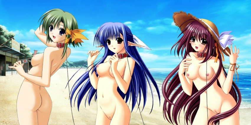 3girls ass back beach blue_hair blush breasts brown_hair collar green_hair hair hat headgear leash lisianthus long_hair multiple_girls nerine nipples nude nude_filter ocean outdoors photoshop pointy_ears purple_eyes pussy red_eyes ribbon shigure_asa short_hair shuffle! sideboob straw_hat uncensored yellow_eyes