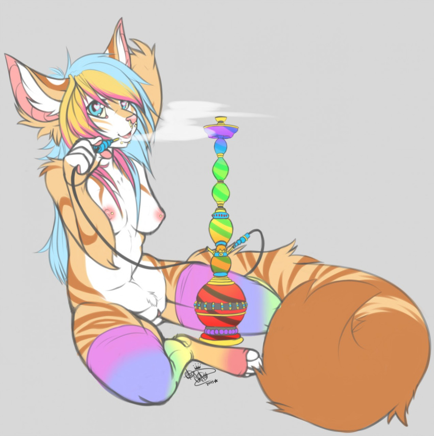 anthro breasts canine captainchaos clothed clothing female fennec fox hookah kneeling legwear mammal nipple_piercing nipples piercing pussy smile solo thick_thighs thigh_highs