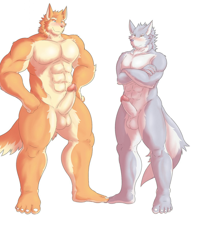 2015 5_fingers 5_toes abs alternate_version_available anthro balls blue_eyes blush brown_nose crossed_arms duo embarrassed erection full-length_portrait full_length fur grey_fur grey_nose hands_on_hips hati-skm hati_(hati-skm) hi_res humanoid_penis male male_only multicolored_fur nude orange_fur penis portrait simple_background skoll_(hati-skm) smile standing tan_fur toes two_tone_fur white_background white_fur white_sclera yellow_eyes