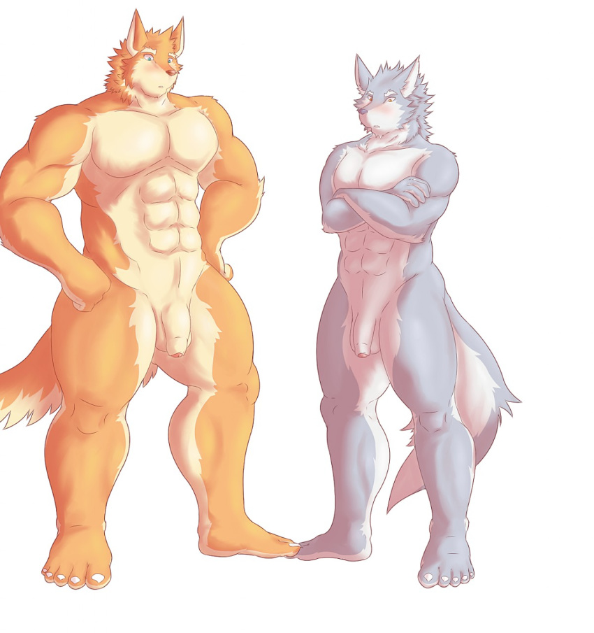 2015 5_fingers 5_toes abs alternate_version_available anthro balls blue_eyes blush brown_nose canine crossed_arms duo flaccid full-length_portrait full_length fur grey_fur grey_nose hands_on_hips hati-skm hati_(hati-skm) humanoid_penis male male_only mammal multicolored_fur nude open_mouth orange_fur penis portrait simple_background skoll_(hati-skm) standing surprised tan_fur toes two_tone_fur uncut werewolf white_background white_fur white_sclera wolf yellow_eyes