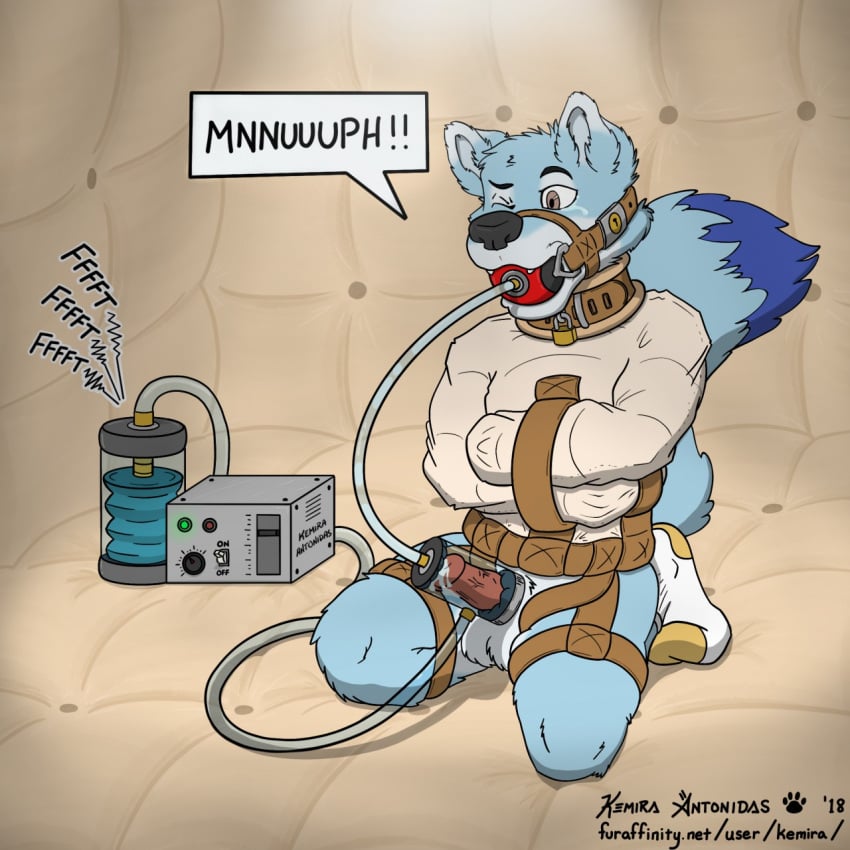 2018 animal_genitalia animal_penis anthro artist_name asylum ball_gag balls black_snout blue_body blue_fur blue_legs blue_tail bondage bondage bound canid canine canine_genitalia canine_penis canis clothing collar digital_drawing_(artwork) digital_media_(artwork) dipstick_tail footwear fur gag gagged genitals green_eyes hi_res kemira kneeling long_tail machine male mammal markings milking_machine milo_amiro monotone_body monotone_fur muffled_speech muzzle_(object) one_eye_closed onomatopoeia padded_room padlocked_collar penile penis penis_milking penis_milking_machine pink_penis plantigrade pump restraints socks solo sound_effects speech_bubble straitjacket tail tail_markings text url white_balls wince wolf