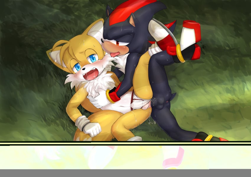 anal anal_sex anthro anus balls canine clothing duo fairwind fox hedgehog male mammal penetration penis shadow_the_hedgehog sonic_(series) tails underwear underwear_aside yaoi