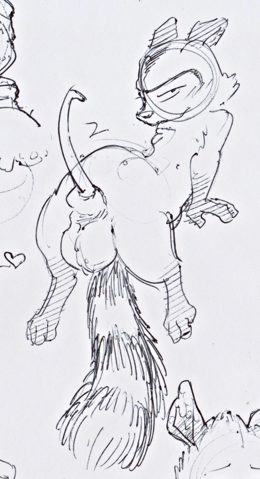 &lt;3 1boy balls dreamworks dreamworks_animation genitals heart heart_symbol male male_only mammal over_the_hedge paramount_pictures penis procyonid raccoon ram_satinga rj_(over_the_hedge) sketch solo tail