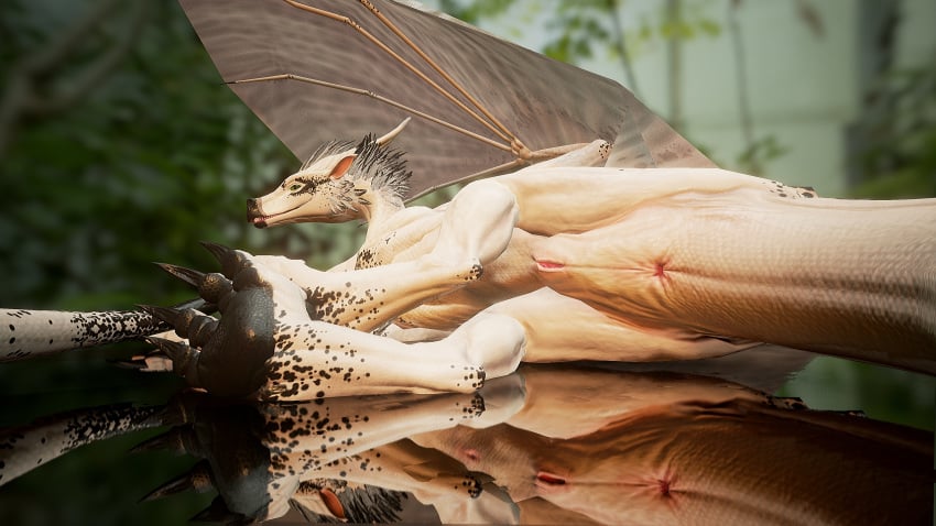 2016 3d absurd_res animal_genitalia anus ass black_scales claws dragon feathers female feral forest gaping gaping_anus genital_slit green_eyes grey_feathers grin hi_res hindpaw horn leaves lizard looking_at_viewer looking_back lying membranous_wings nude on_side outside pawpads paws plant presenting presenting_hindquarters pussy reflection reptile salireths scales scalie sharp_teeth slit smile solo teeth the_gateway_of_realities_(copyright) toe_claws toes tree visualisator_(copyright) white_scales wings