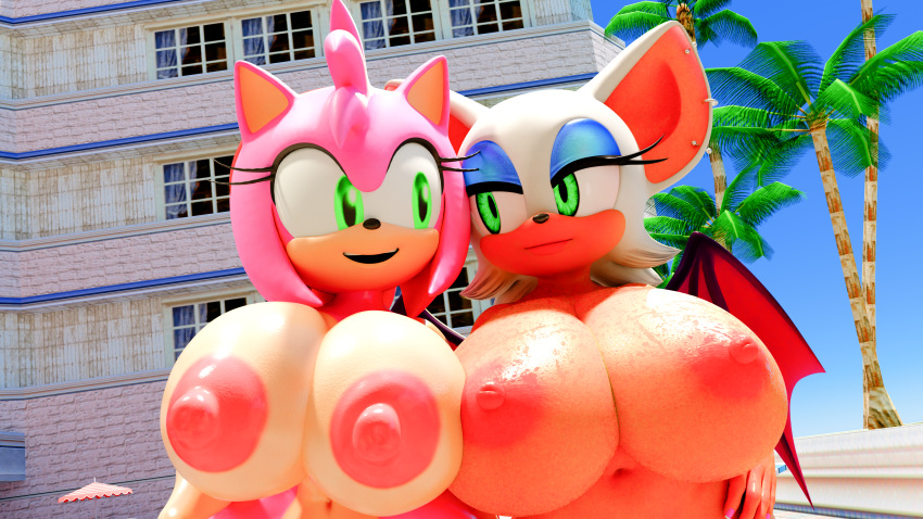 Amy Rose (Sega) Rule 34 Image