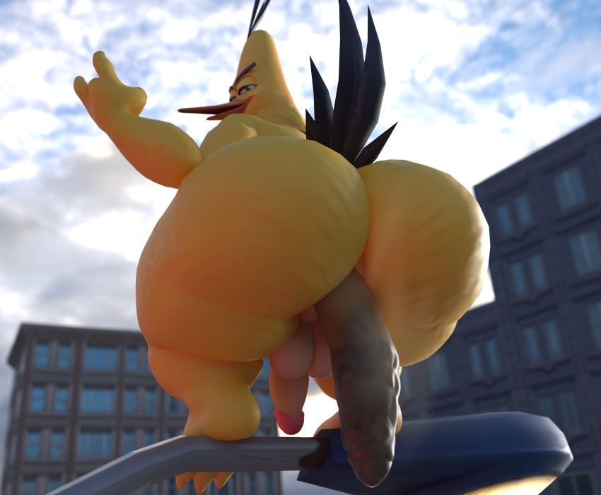 Chuck (Angry Birds) Rule 34 Image