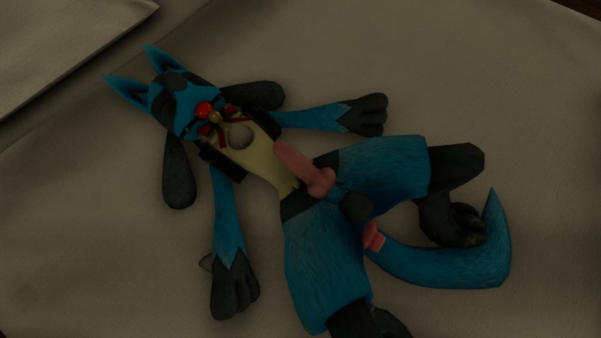 3d anal anal_sex anthro balls bondage canine filmmaker furry lucario male mammal nintendo nude penetration penis pokemon pokemon_(species) solo source yaoi