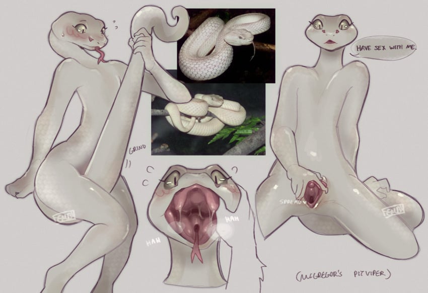 ambiguous_gender anthro aroused blanche_(vampfemby) blush emotionless female genitals hi_res mouth_hold mouth_play open_mouth pussy reptile scalie snake solo_focus spread_legs spread_pussy spreading steam steamy_breath vampfemby viper