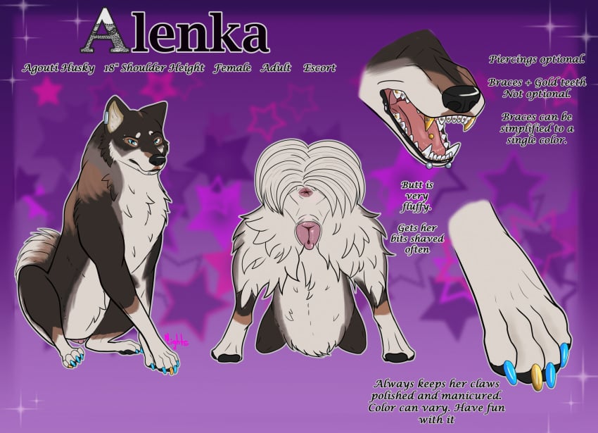 alenka_(nightcorelights) anatomically_correct anatomically_correct_genitalia animal_genitalia ass blue_eyes braces butt_shot canid canine canis colored_nails domestic_dog ear_piercing eyebrow_piercing facial_piercing fangs female feral fluffy fluffy_butt fluffy_tail fur genitals gold_(metal) gold_tooth hi_res husky lip_piercing looking_at_viewer mammal model_sheet multicolored_body multicolored_fur nails nightcorelights nordic_sled_dog open_mouth painted_claws pawpads piercing presenting presenting_hindquarters sharp_teeth simple_background snakebite_piercing solo spitz tail teeth tongue tongue_piercing