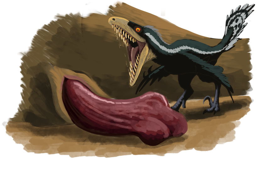 Absurd Res Rule 34 Image