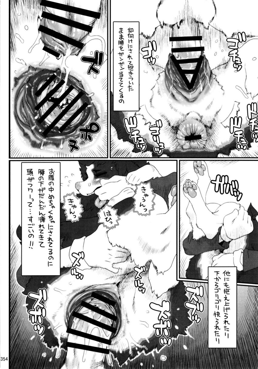 anus canine comic finger_in_mouth forced mammal nezumi page_354 penetration penis rape sex text translation_request vaginal_penetration