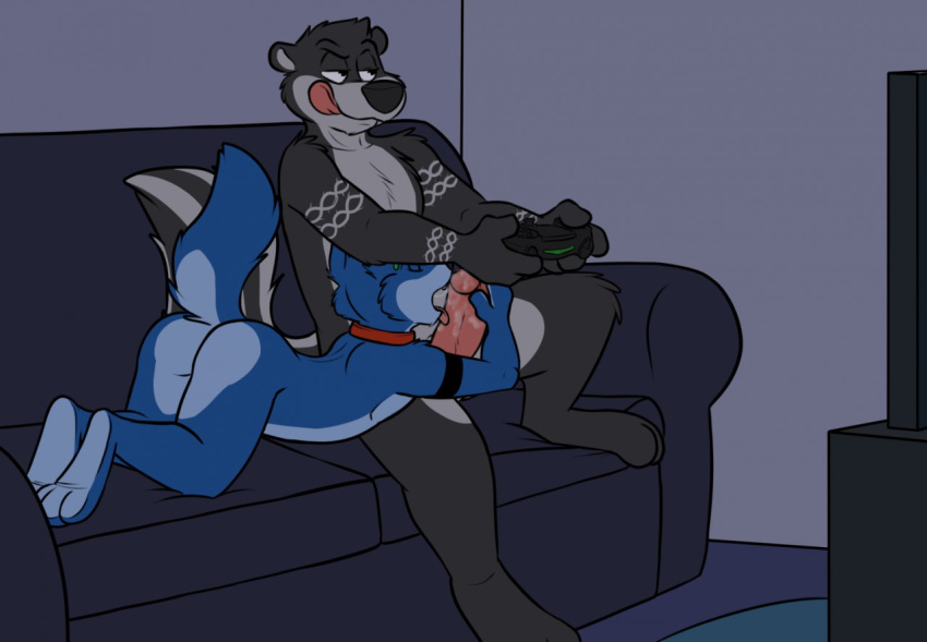 2016 anthro ass black_fur blue_fur canine closed_eyes collar controller deke duo erection fellatio fur gaming grey_fur grin half-closed_eyes holding_controller holding_object humanoid_penis interspecies licking male mammal markings multitasking nude open_mouth oral penis piercing playing_videogame raised_tail robbie robbie_(rotten_robbie) rotten_robbie sex sitting skunk smile smooth_fur sofa toes tongue tongue_out video_games wolf yaoi