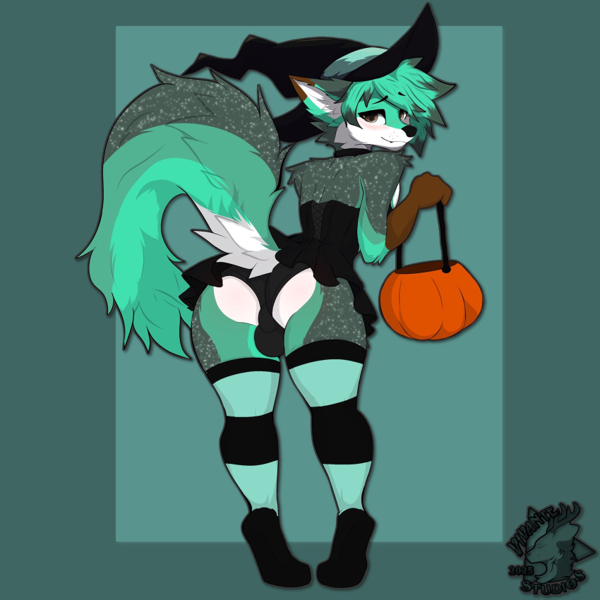1:1 Rule 34 Image
